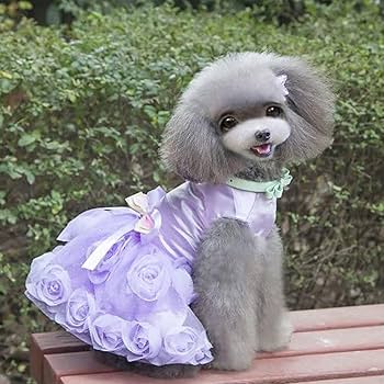 Laxury Dog Dress Blessing Babies【Bliss】 Laxury Dog Dress Blessing Babies【Bliss】